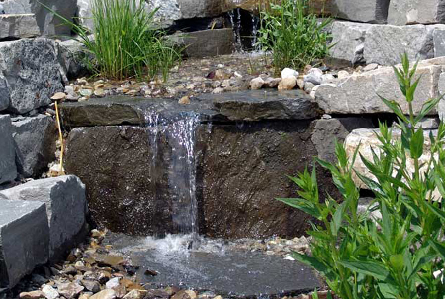 Piscine Naturelle Fonctionnement